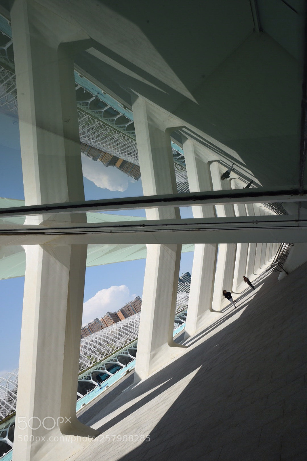 Nikon D750 sample photo. The view above  photography