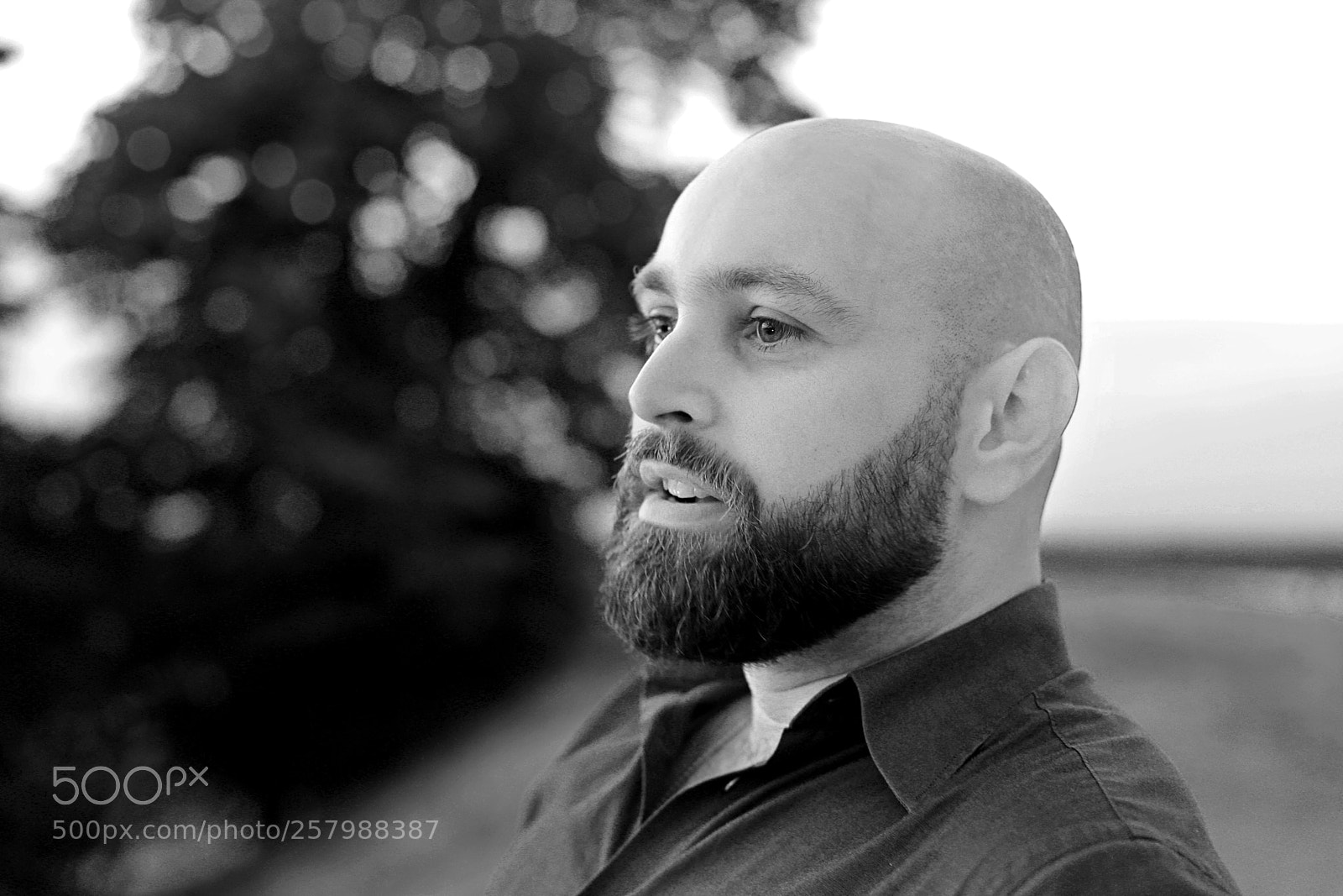 Canon EOS 5D Mark IV sample photo. Dejan photography