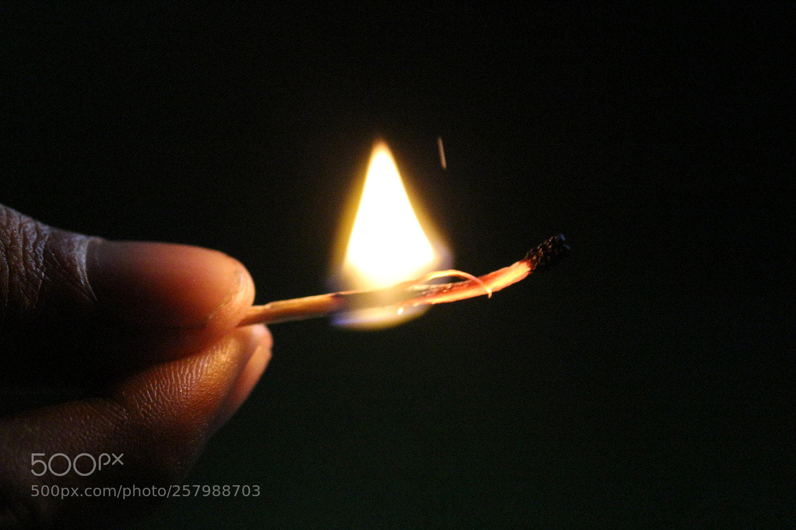 Canon EF-S 55-250mm F4-5.6 IS II sample photo. Untitled photography