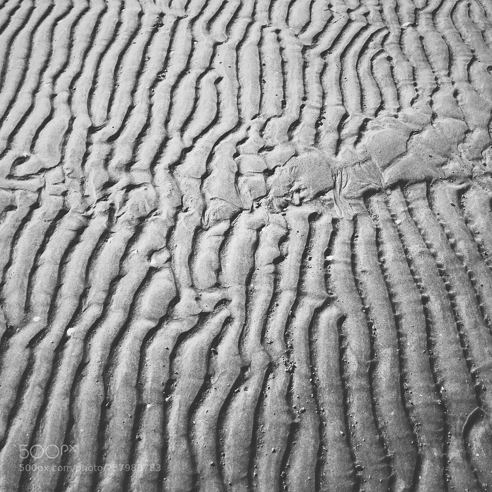 Apple iPhone 6 sample photo. Sand ripples photography