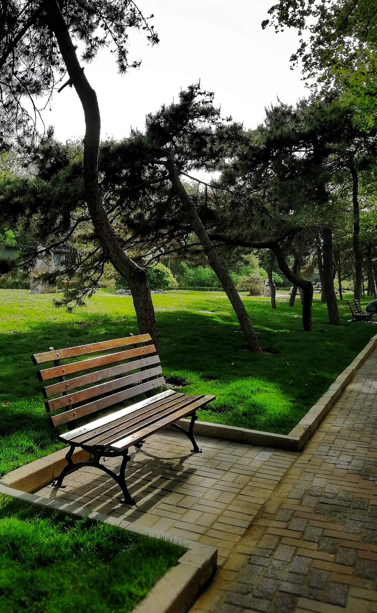 HUAWEI Honor 9 sample photo. Xiao  yuan photography