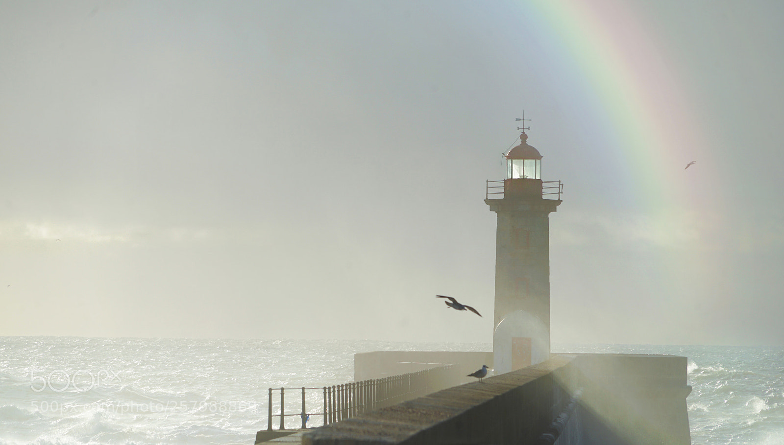 Sony a7 II sample photo. Under the rainbow photography