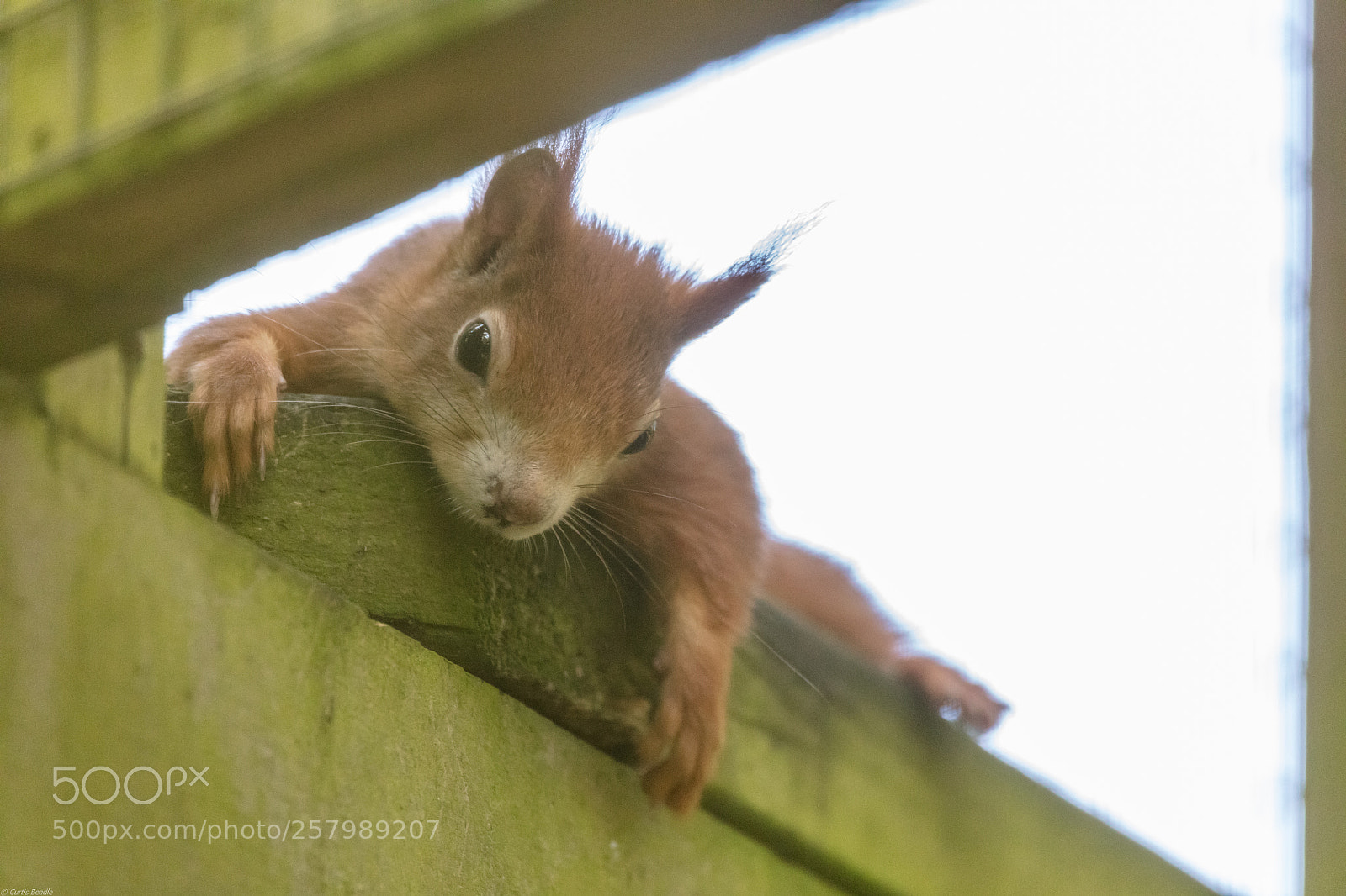 Canon EOS 5DS R sample photo. Whats down there? photography