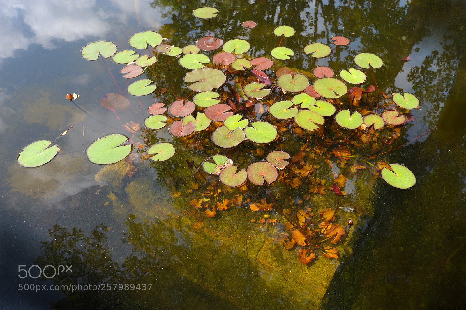 Nikon D700 sample photo. Three worlds photography