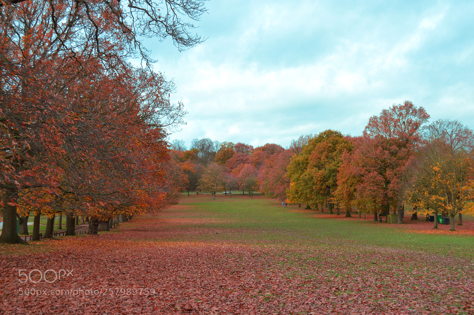 Nikon D3200 sample photo. Season photography