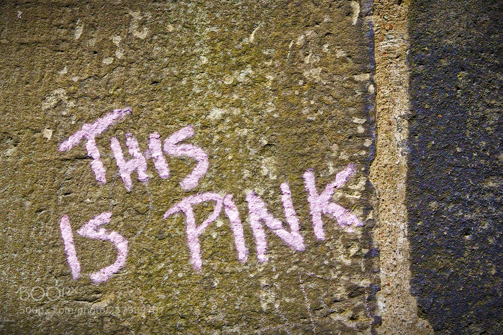 Canon EOS 450D (EOS Rebel XSi / EOS Kiss X2) sample photo. Pink@greyfriars photography