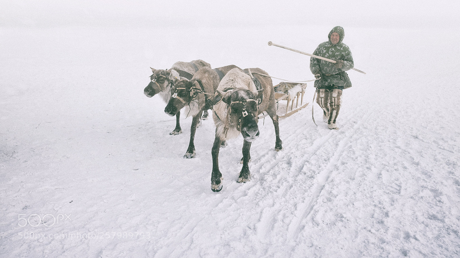 Fujifilm X70 sample photo. Yamal photography