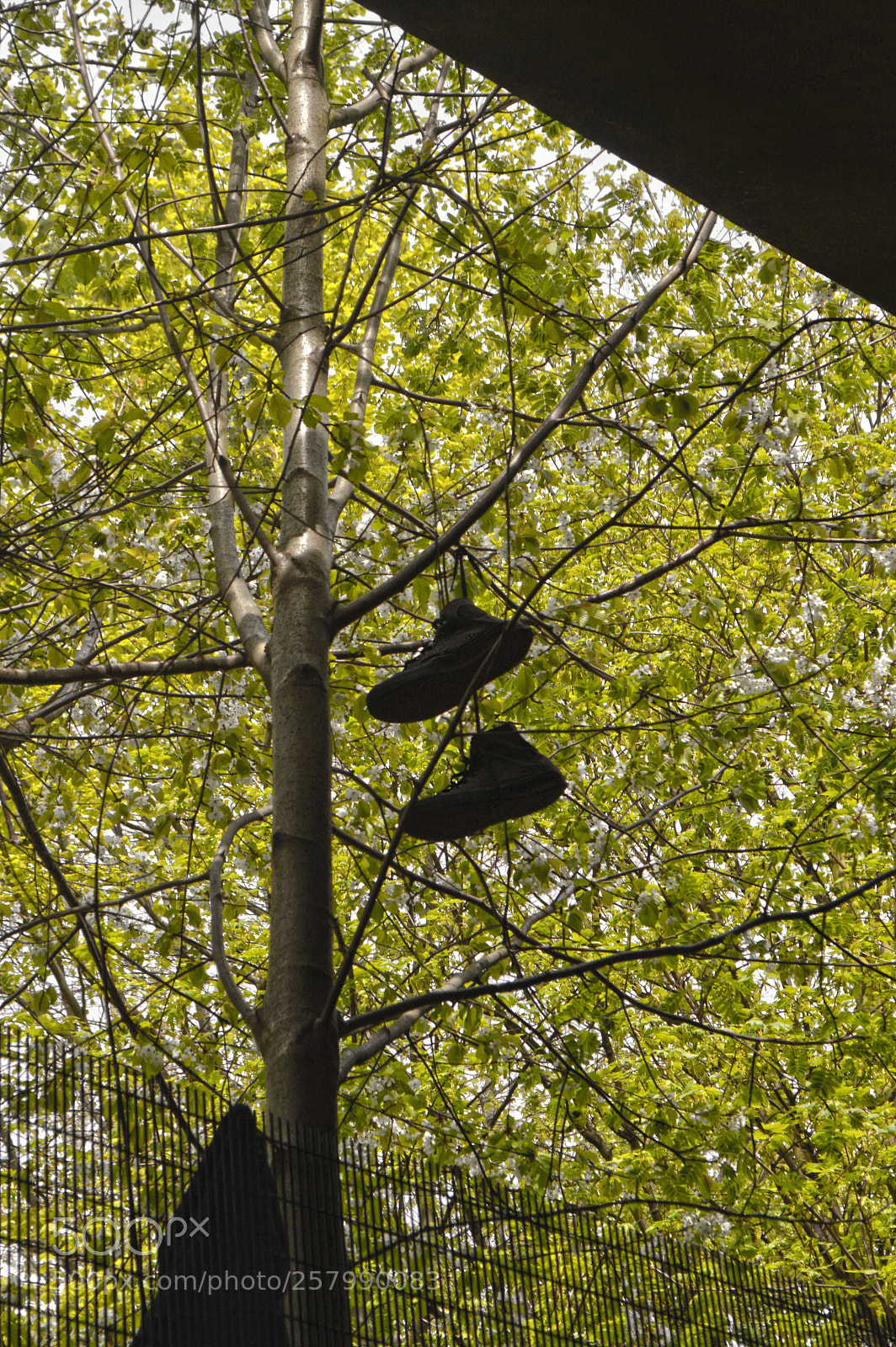 Nikon D3200 sample photo. Scarpe chiaro photography