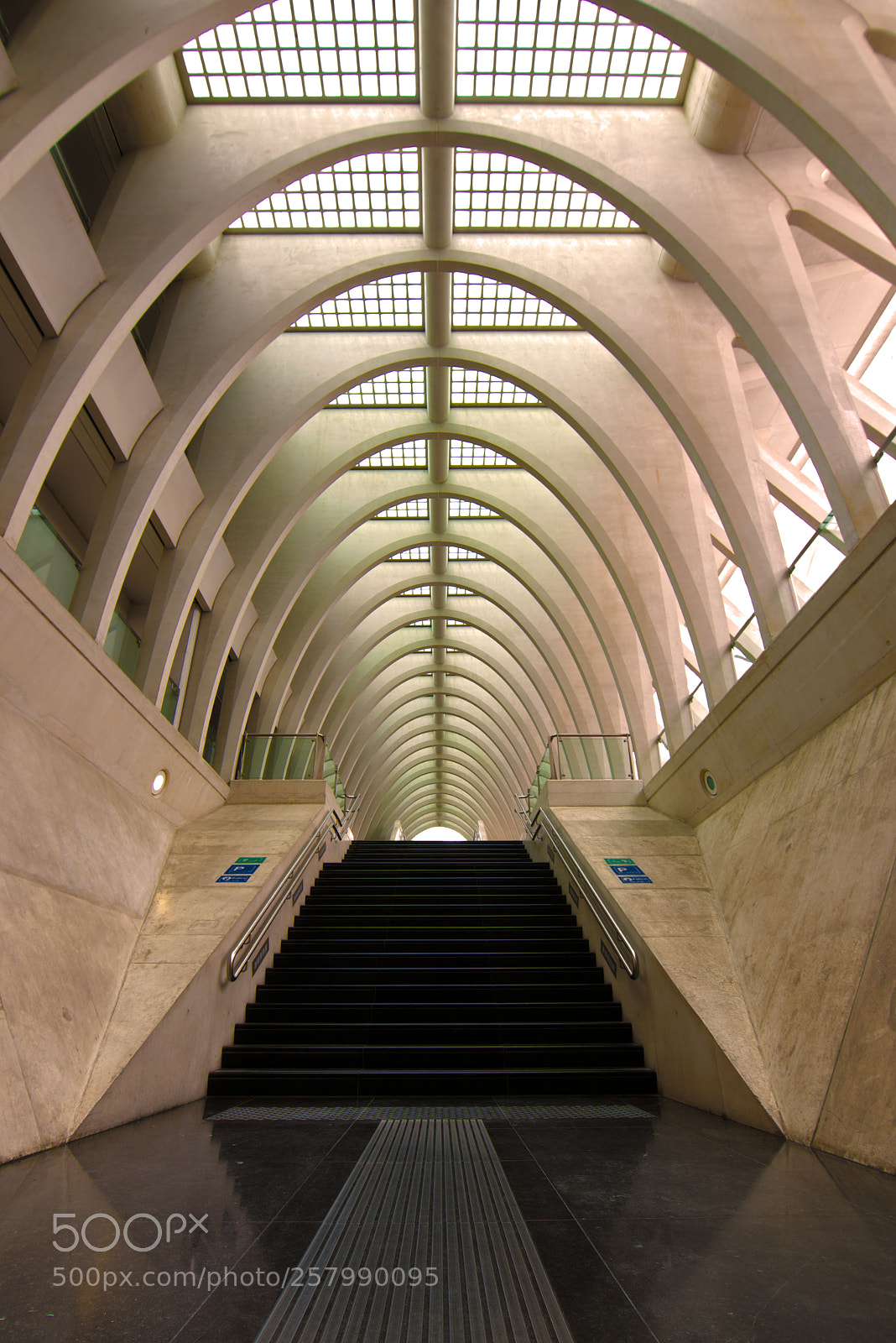 Nikon D750 sample photo. Station luik trappen photography