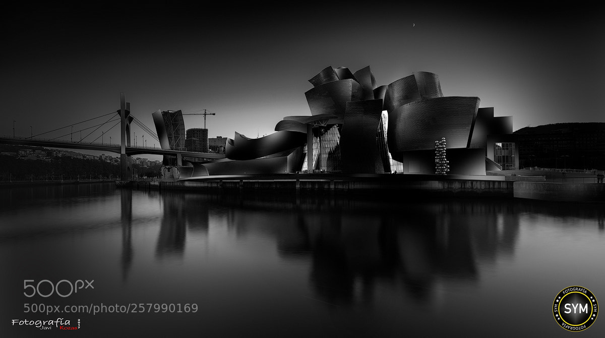 Nikon D800 sample photo. Amanecer en el guggenheim photography