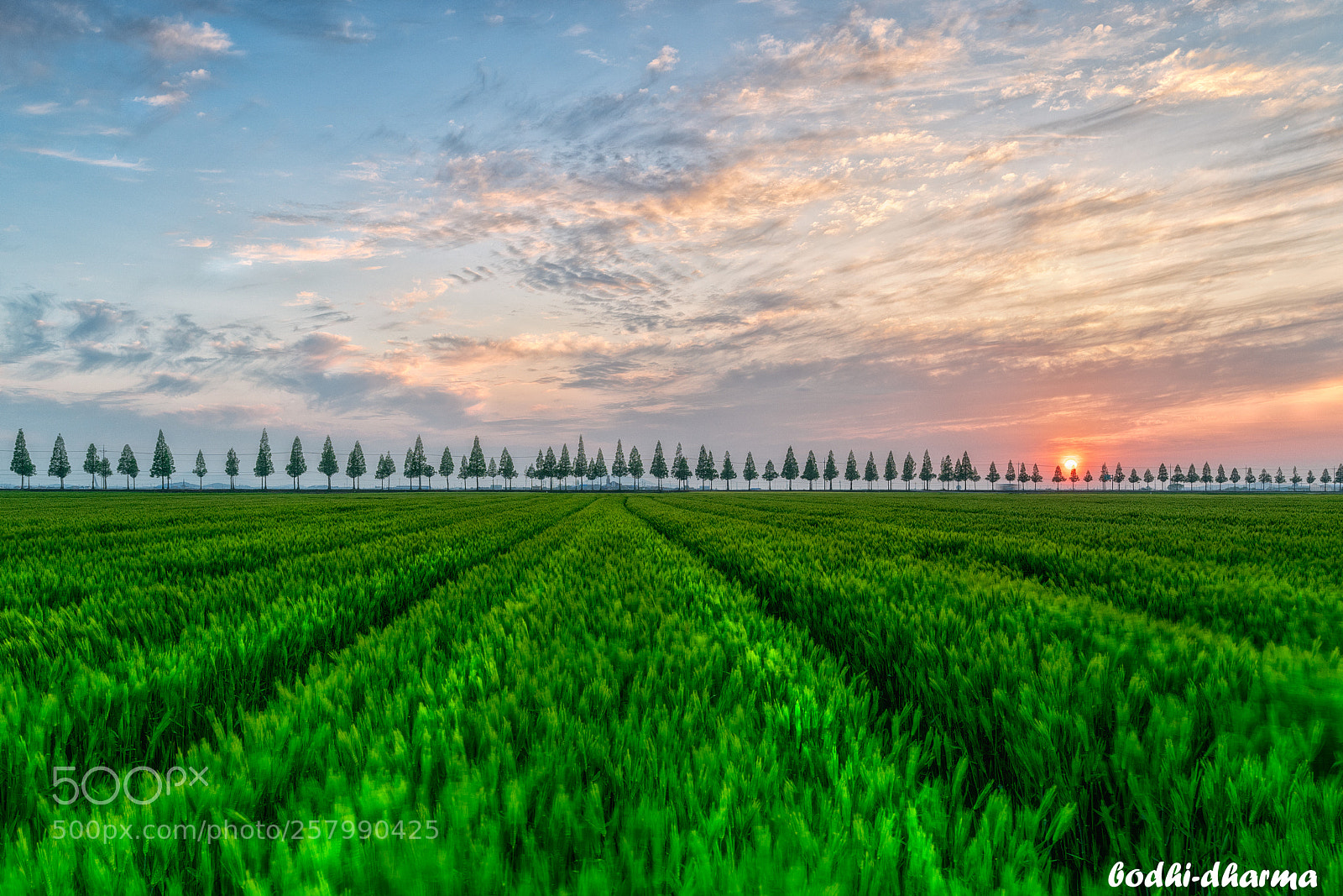 Sony a7R III sample photo. Sunset photography