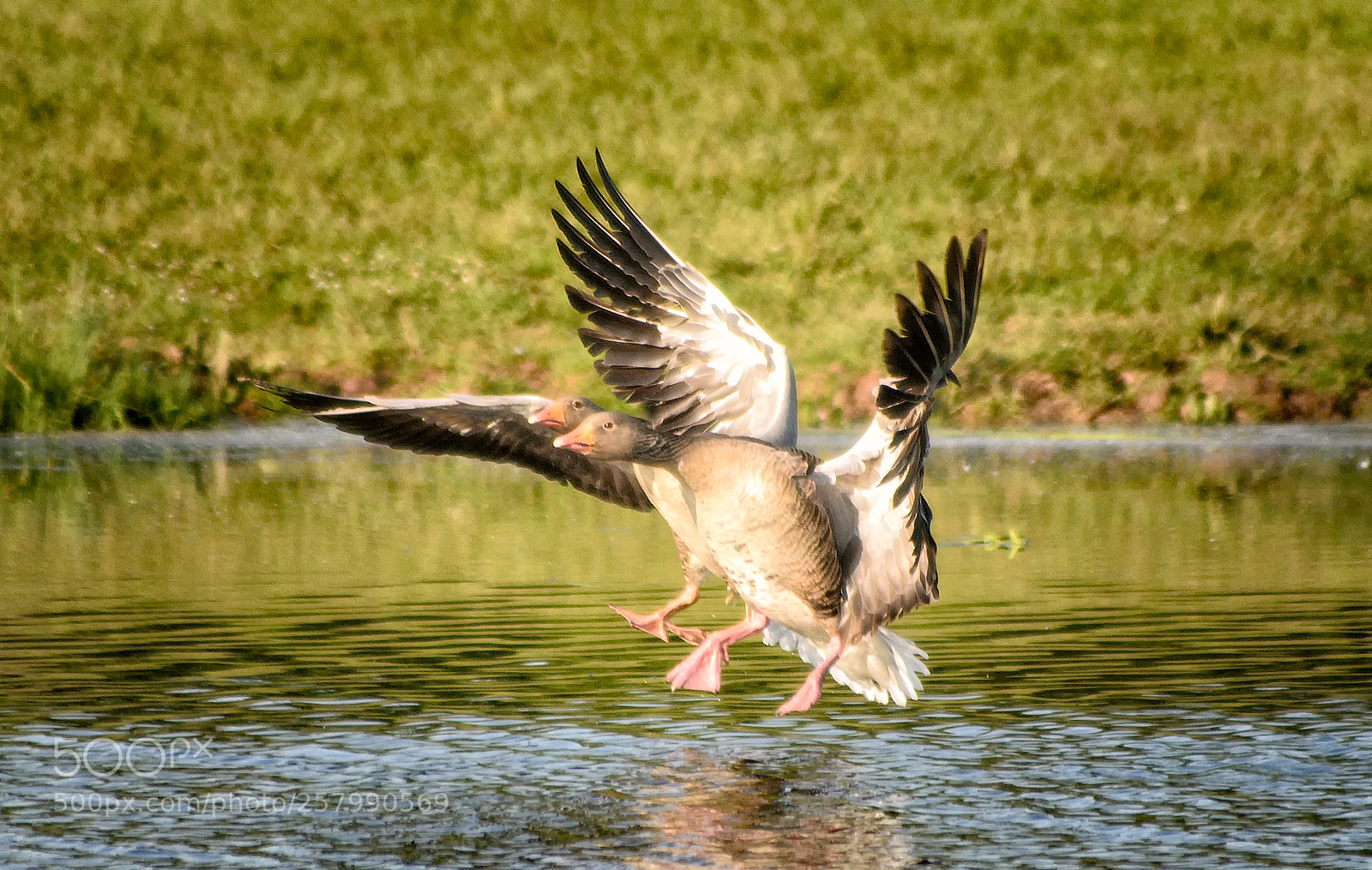 Nikon D7000 sample photo. Air brakes photography