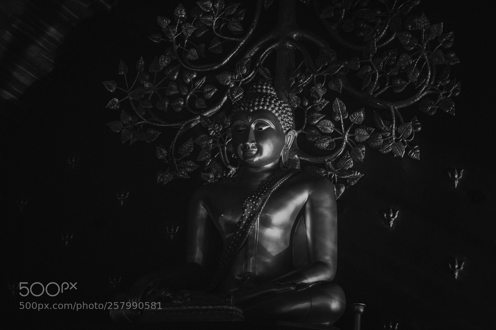 Nikon D810 sample photo. Sirindhorn wararam phu prao photography
