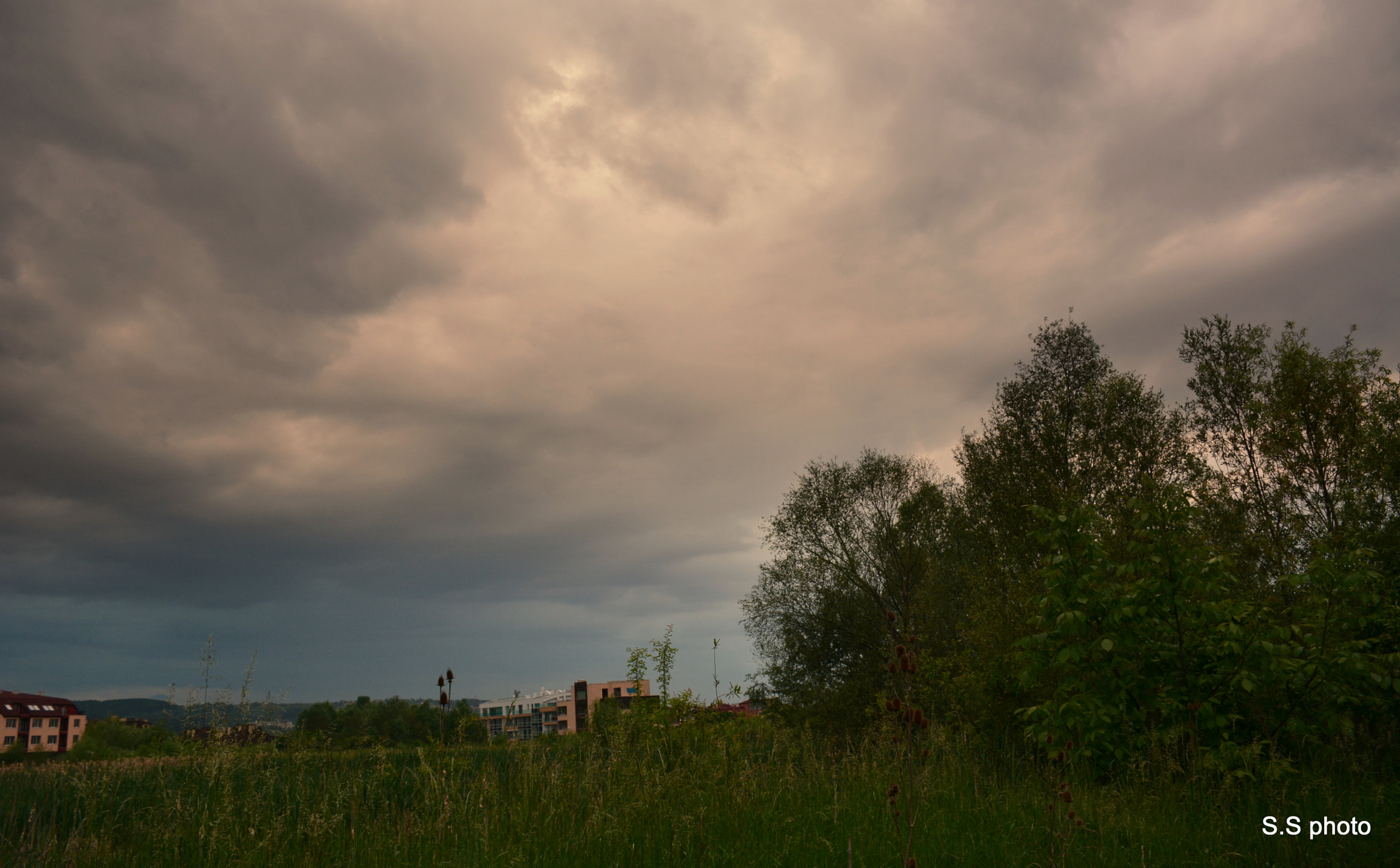 Nikon D7100 sample photo