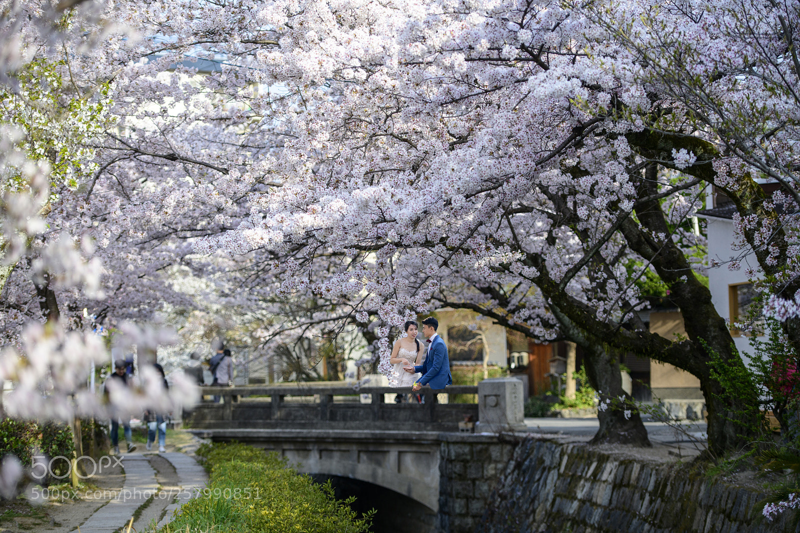 Nikon D850 sample photo. Love at spring season photography