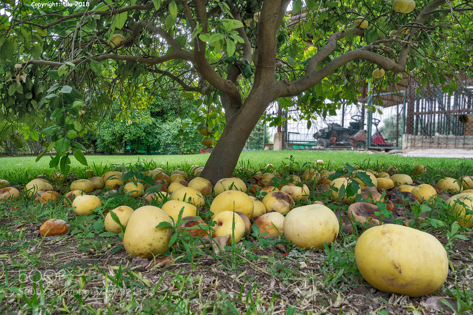 Sony a6300 sample photo. After saison photography