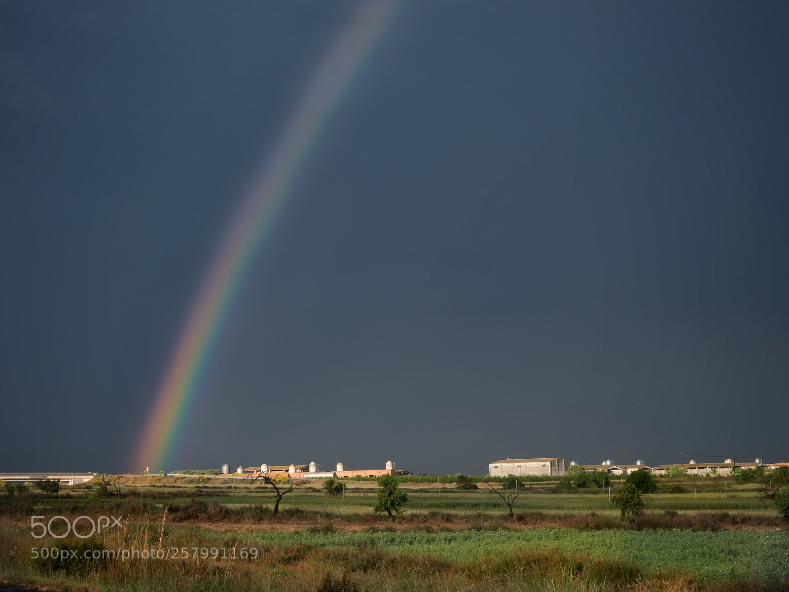 Olympus OM-D E-M1 Mark II sample photo. Rainbow.. photography