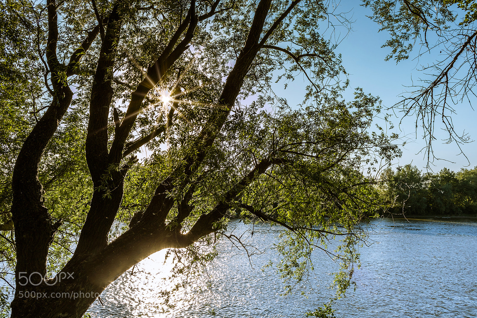 Canon EOS 750D (EOS Rebel T6i / EOS Kiss X8i) sample photo. Rays over the river photography