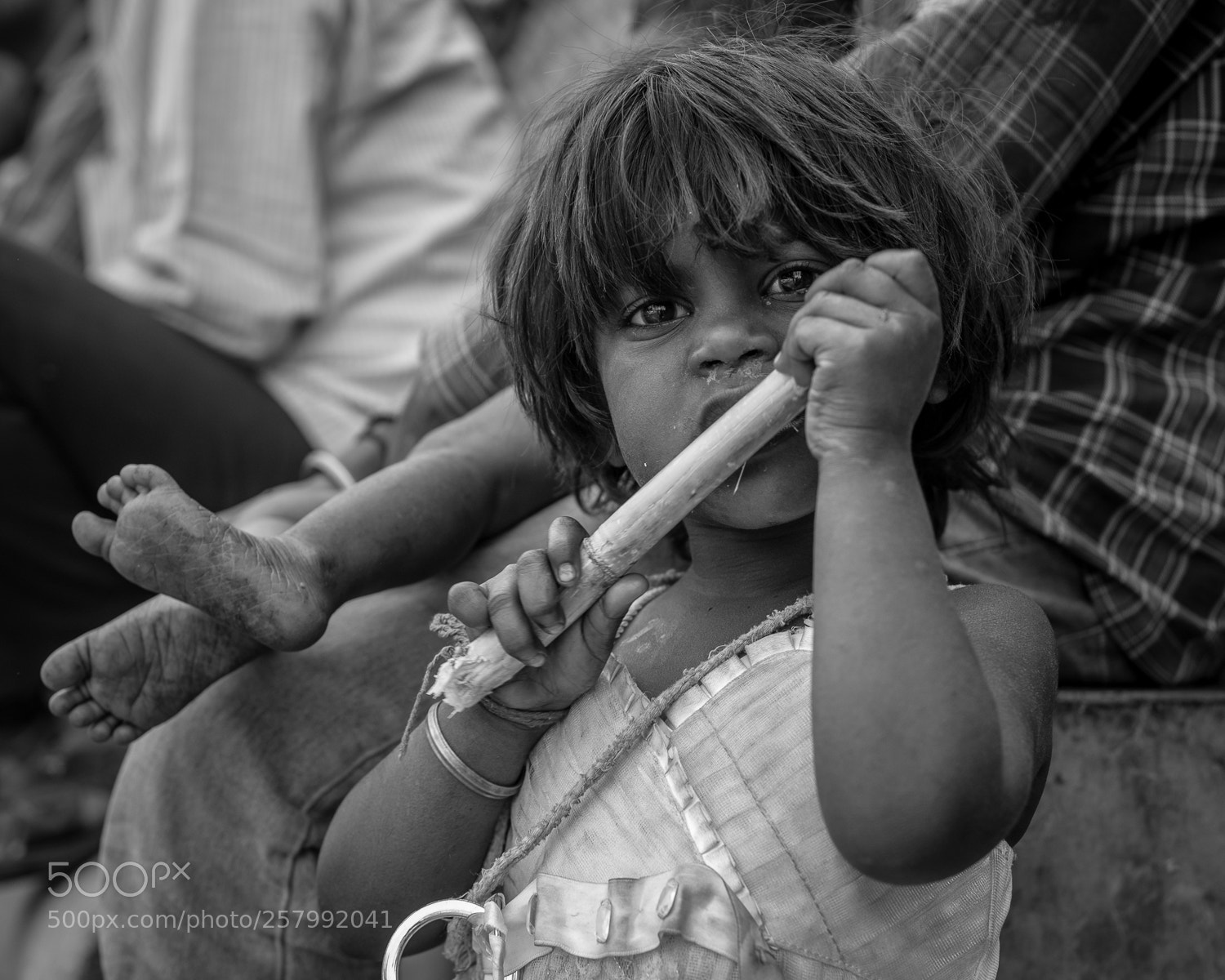 Nikon D750 sample photo. Child with sugarcane photography
