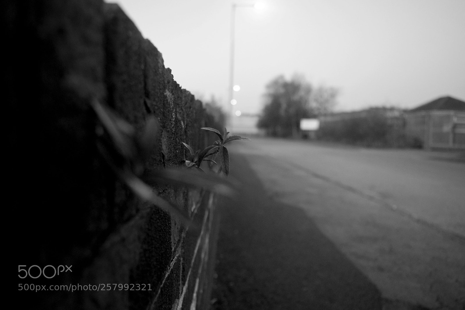 Nikon D3300 sample photo. B&w street photography