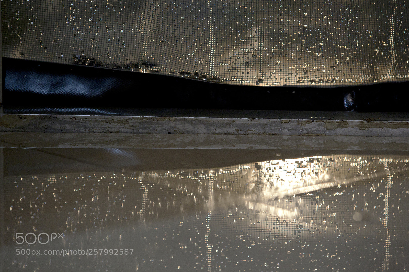 Canon EOS 5D Mark II sample photo. Img photography