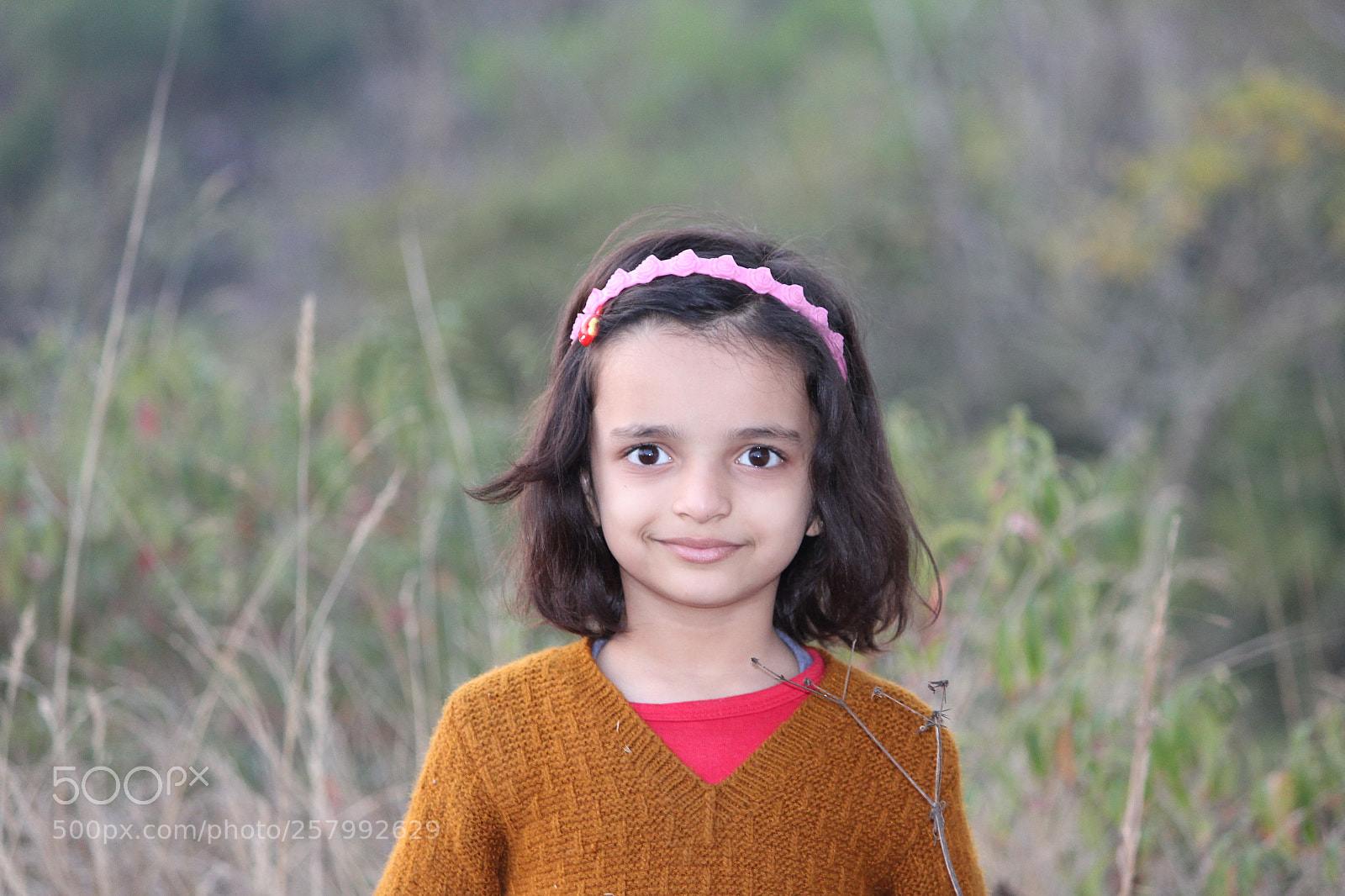 Canon EF-S 55-250mm F4-5.6 IS II sample photo. Img photography