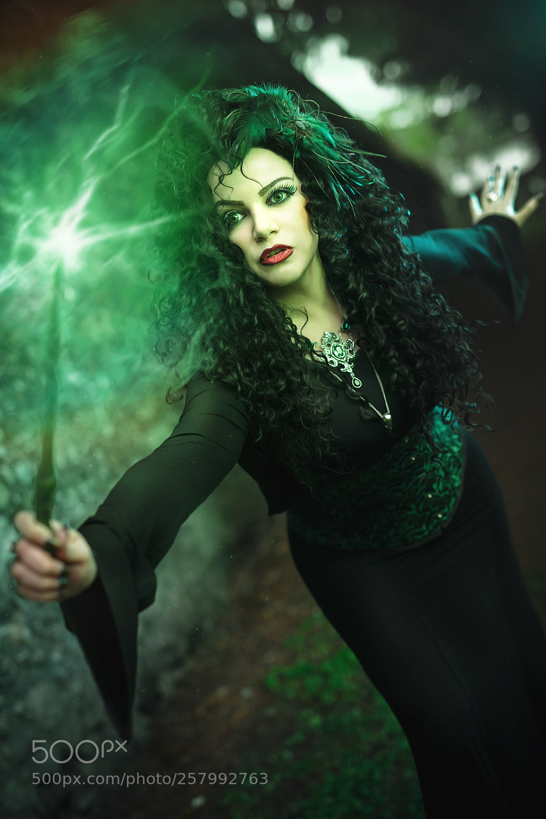 Canon EOS 5DS sample photo. Darkest green photography