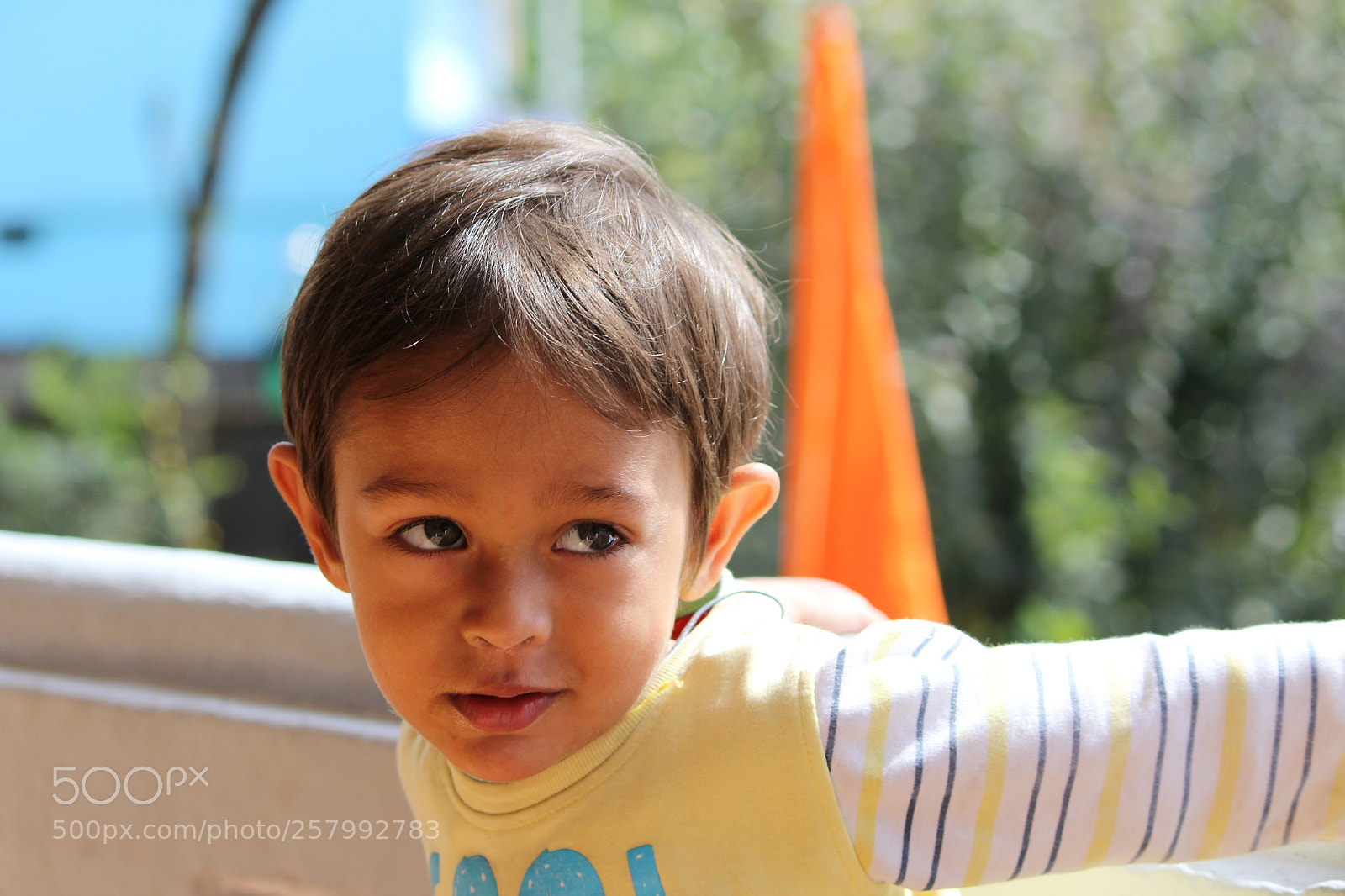 Canon EF-S 55-250mm F4-5.6 IS II sample photo. Img photography