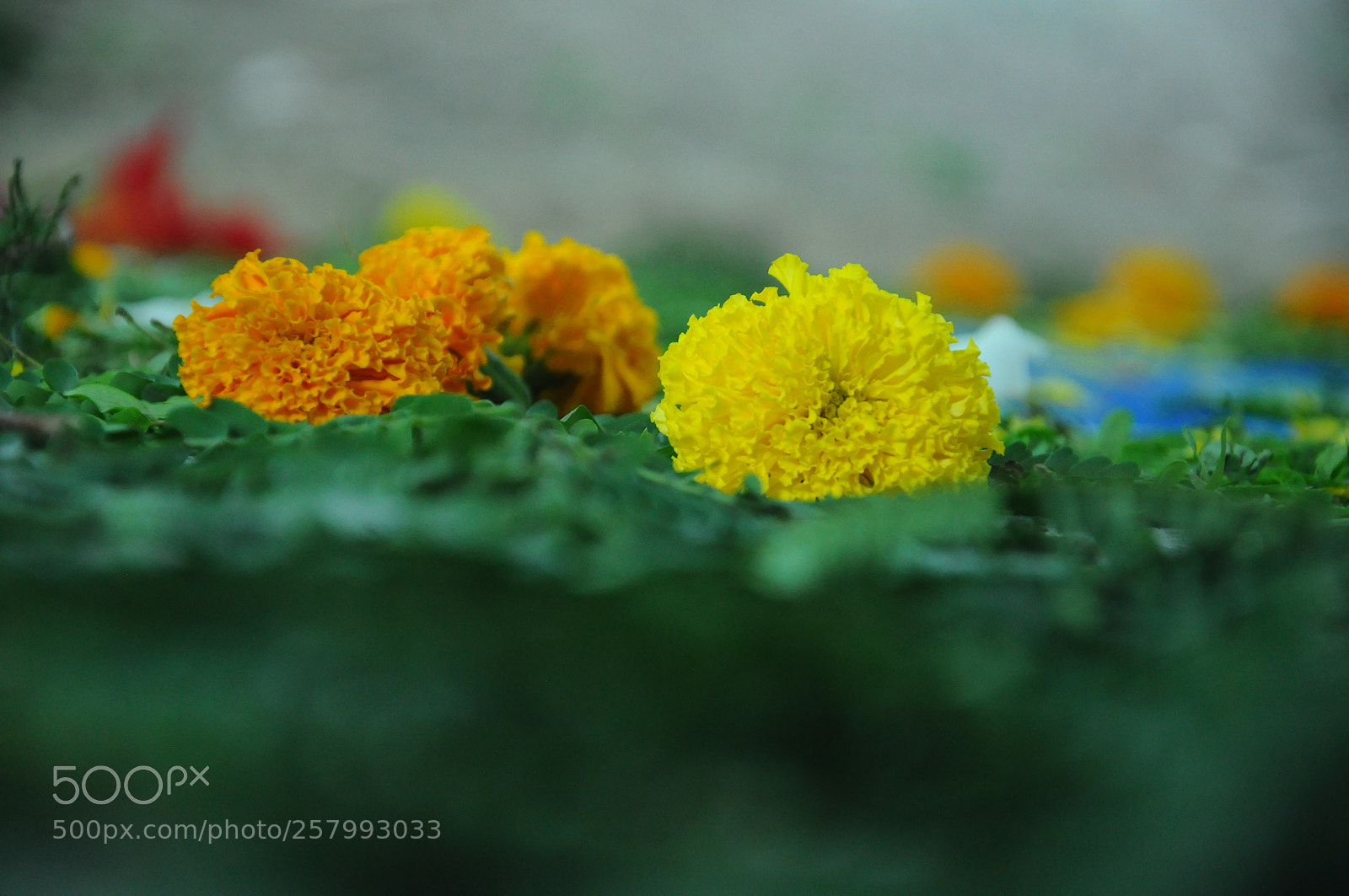 Nikon D90 sample photo. Nature photography