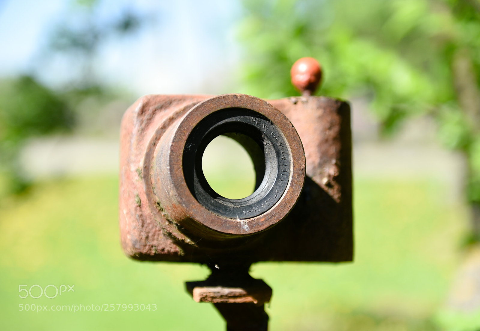 Nikon D750 sample photo. 1 pixel photography