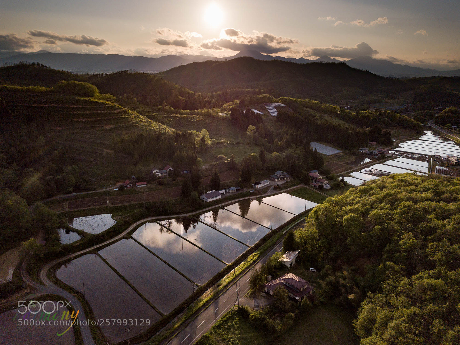 DJI FC220 sample photo. Waiting for rice planting photography