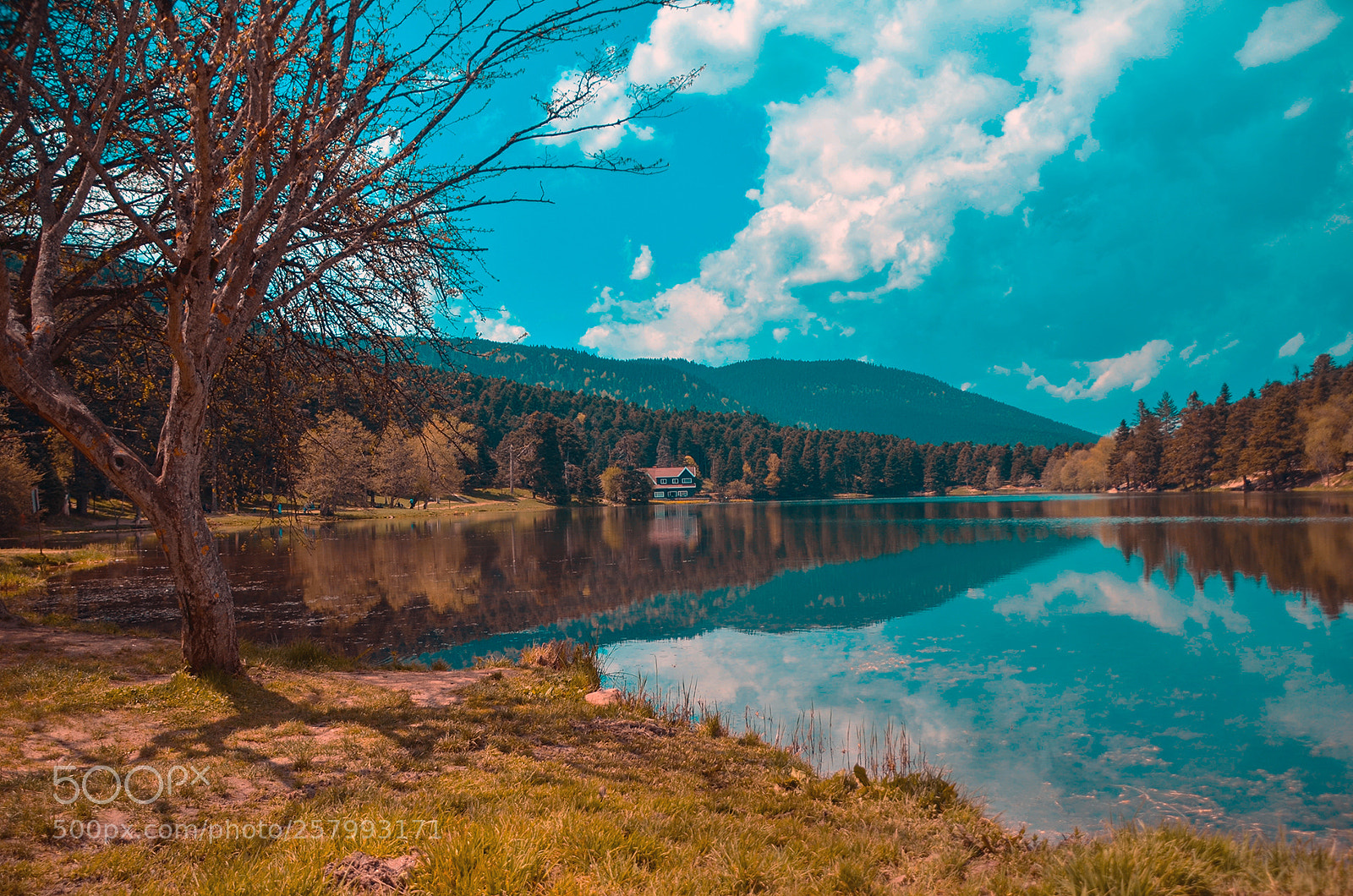 Nikon D7000 sample photo. Bolu g lc k photography