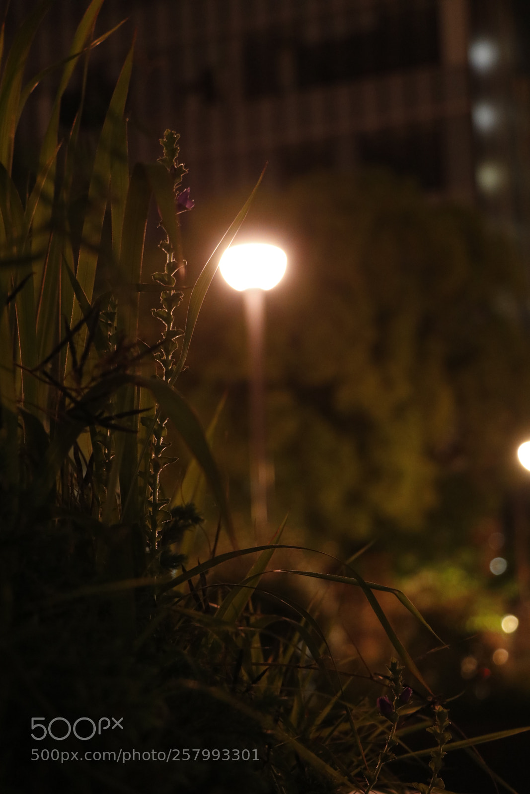 Canon EOS 80D sample photo. Untitled photography