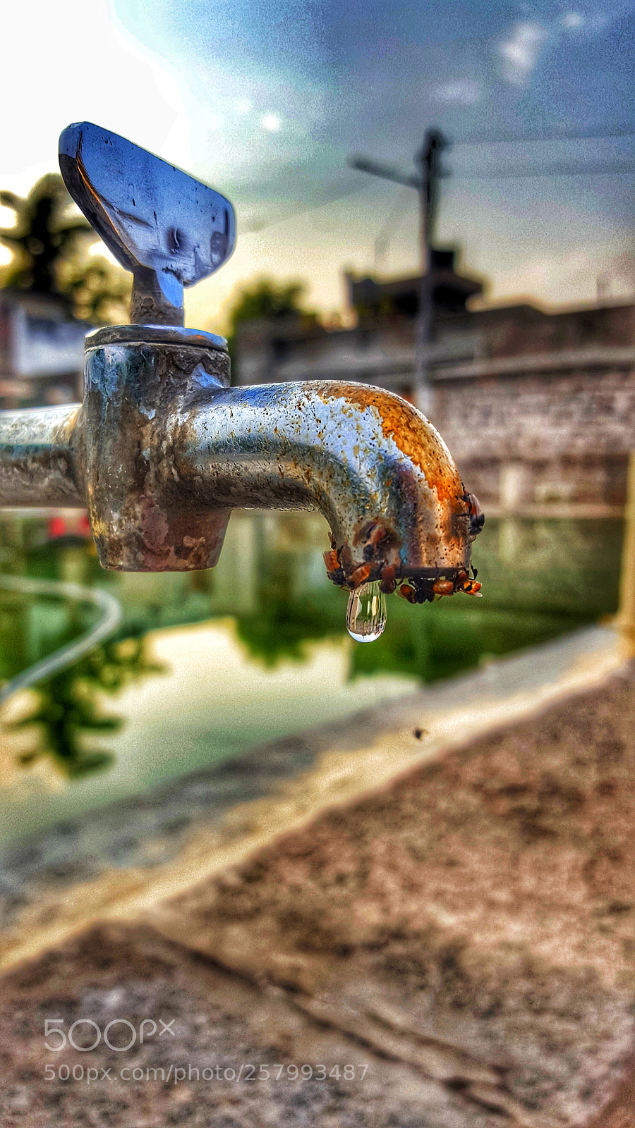 Samsung Galaxy S6 sample photo. Water drop photography