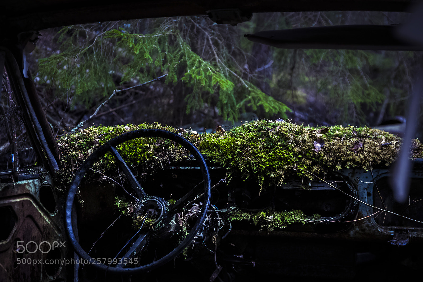 Canon EOS 6D sample photo. Abandoned car photography