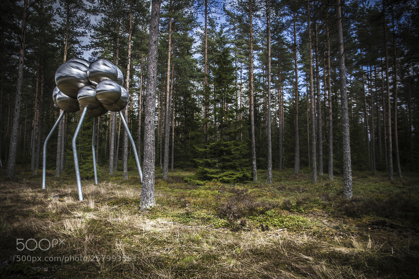 Canon EOS 6D sample photo. Forest invader photography