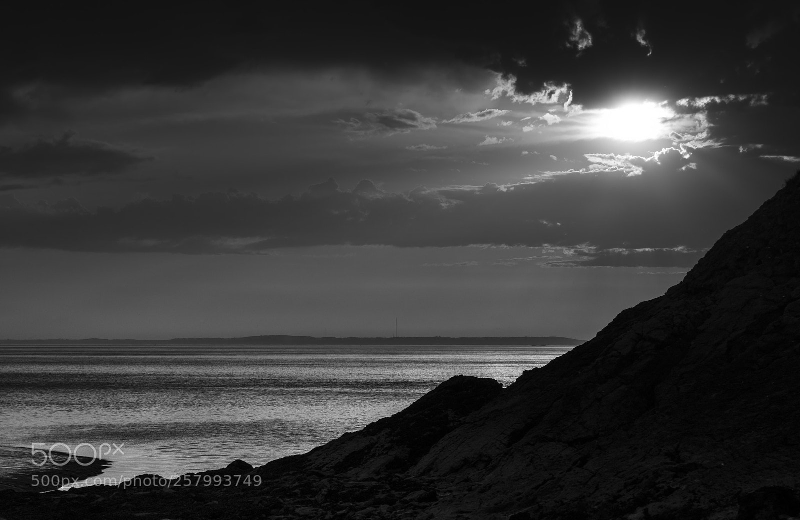 Sony a7R II sample photo. Clevedon photography