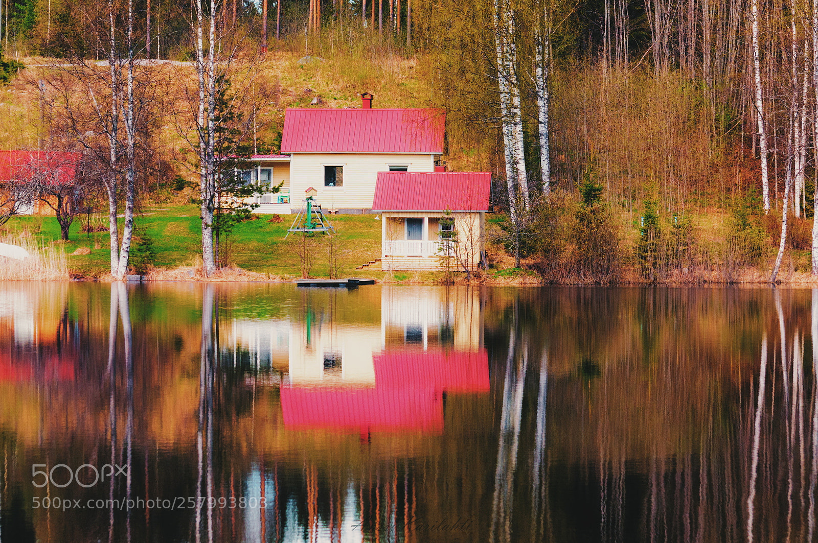 Nikon D300 sample photo. House reflection photography