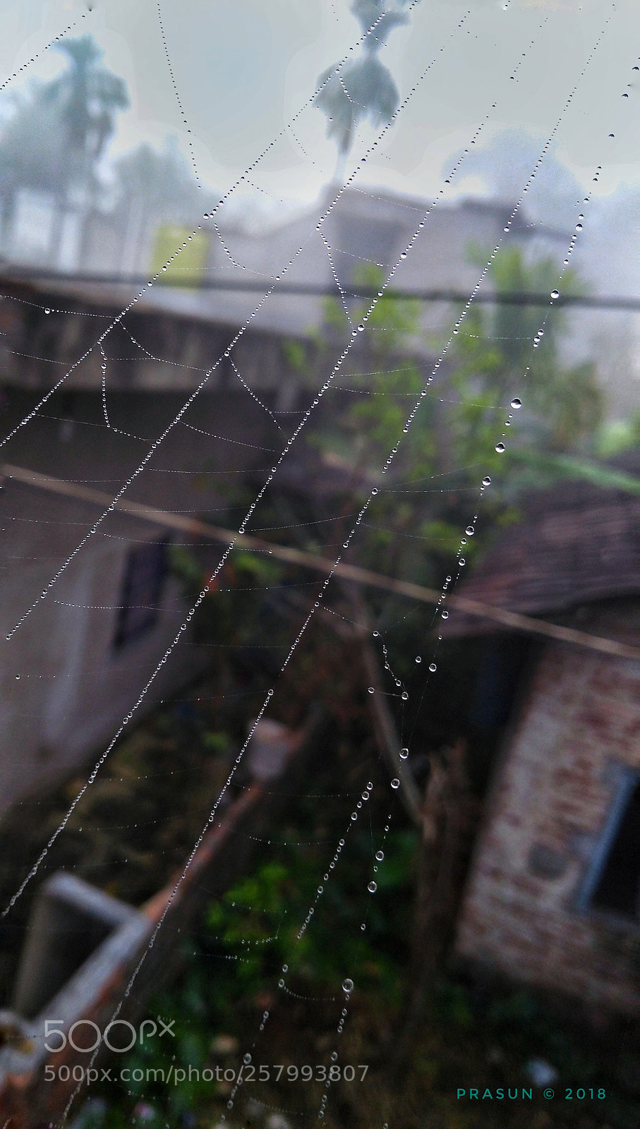Motorola Moto G (5S) Plus sample photo. Untitled photography