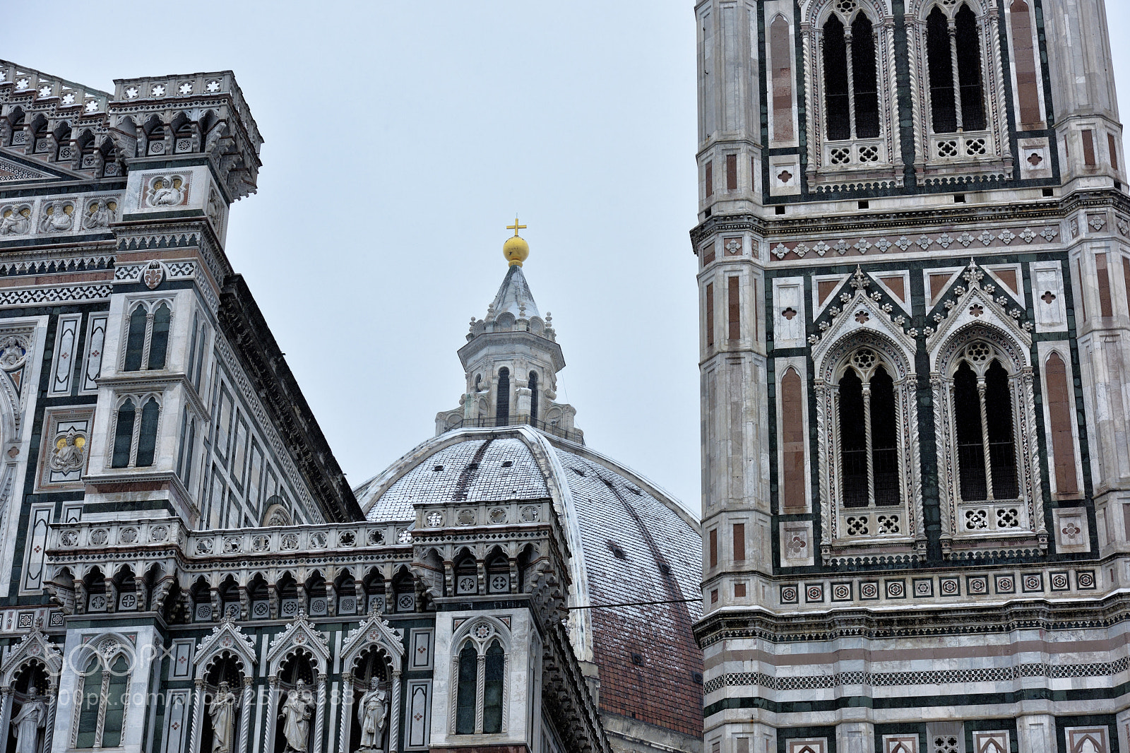 Nikon D810 sample photo. Florence white 2018 xxii photography