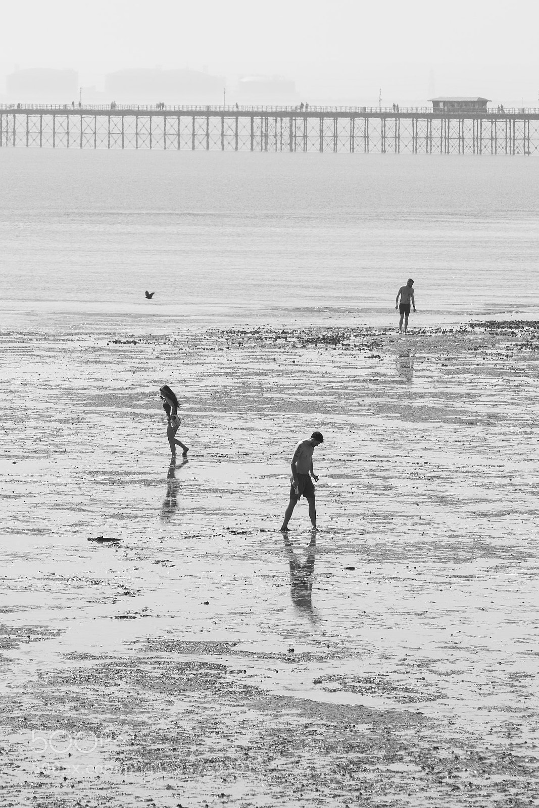 Sony a7R II sample photo. Southend on sea photography