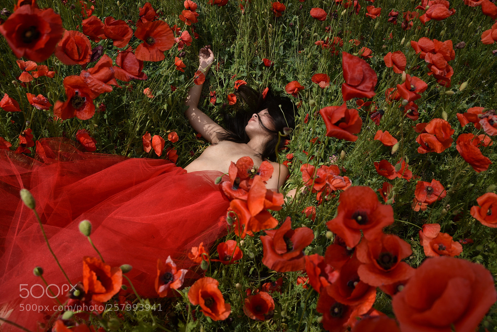 Nikon D750 sample photo. Sogna ragazza sogna photography