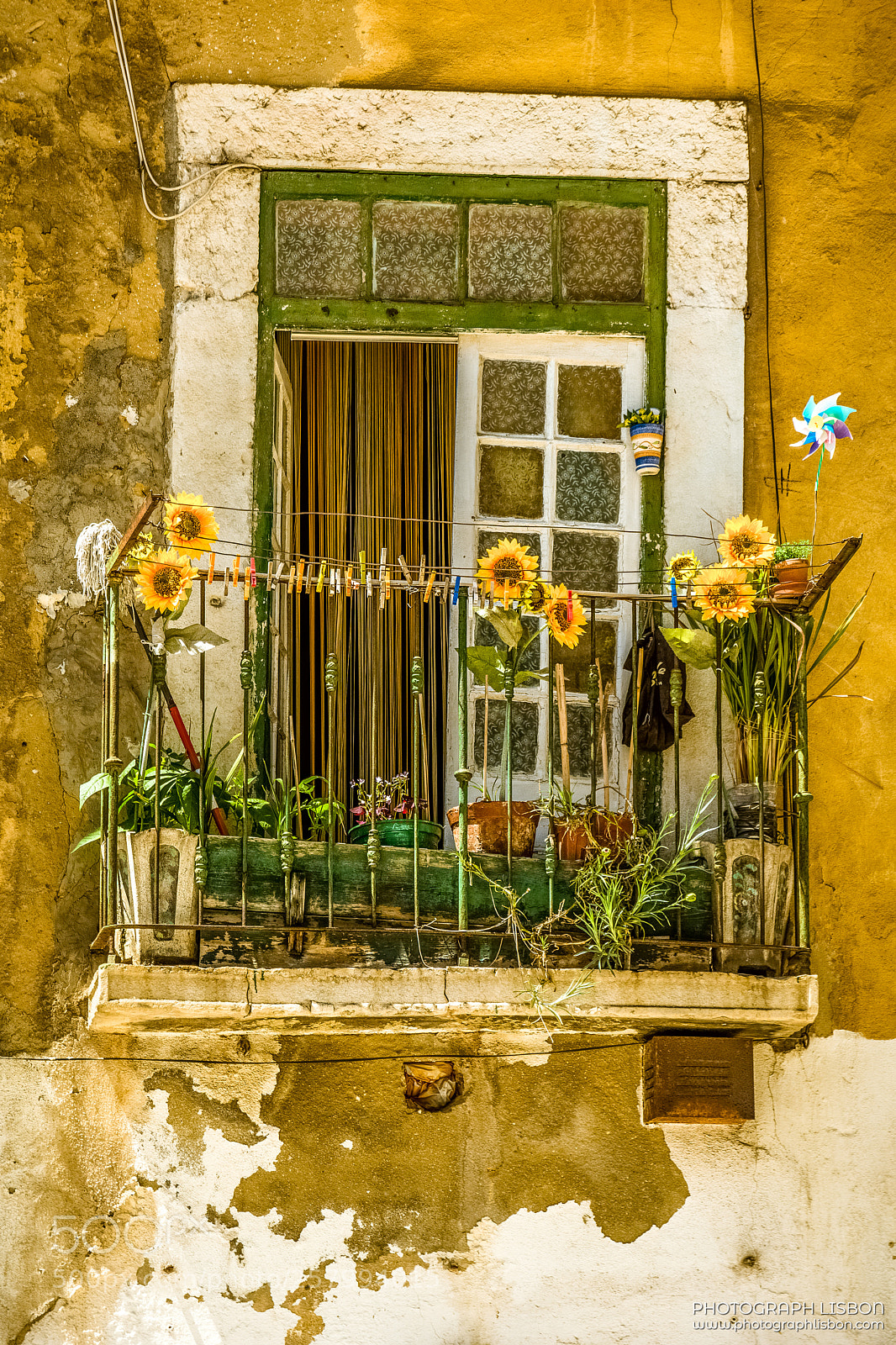 Nikon D7100 sample photo. Sunflower window photography