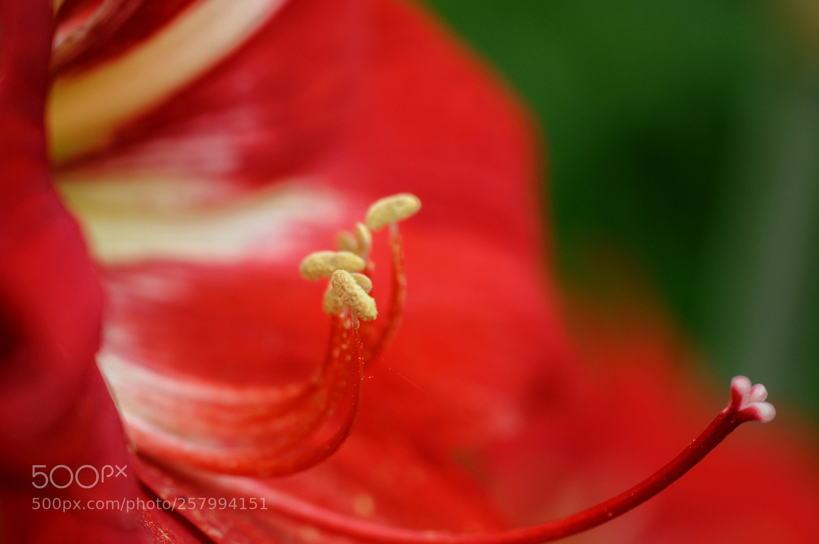 Nikon D300 sample photo. Male and female... together photography
