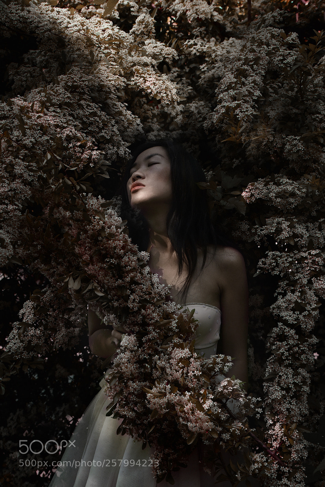 Nikon D750 sample photo. Soffio di luce photography