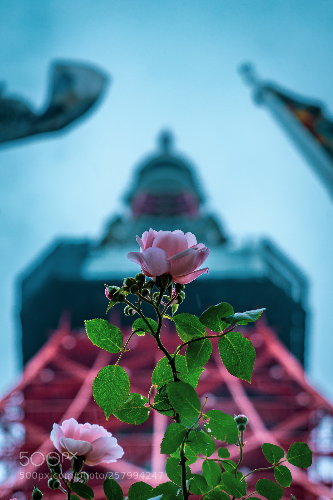 Sony a7 II sample photo. The tower & the flower photography