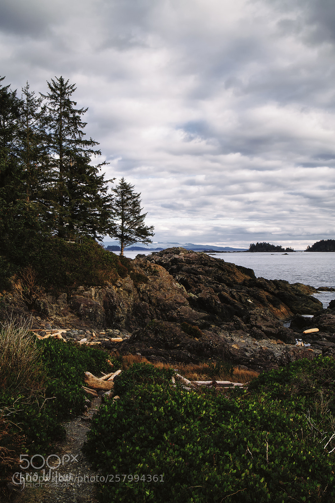 Canon EOS 6D sample photo. The wild pacific photography