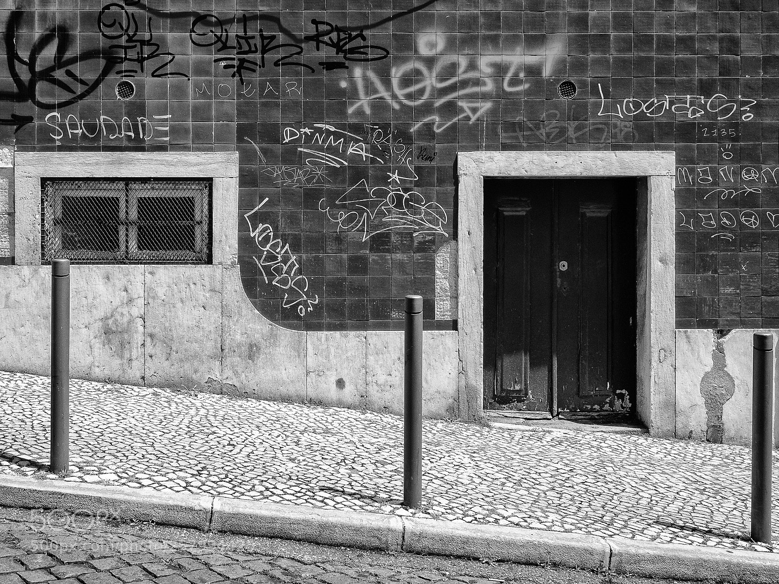 Olympus OM-D E-M5 sample photo. A door for tall photography