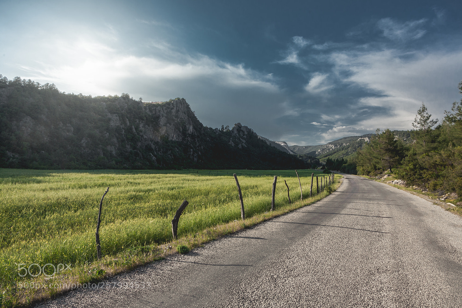 Canon EOS 5D sample photo. Road view photography