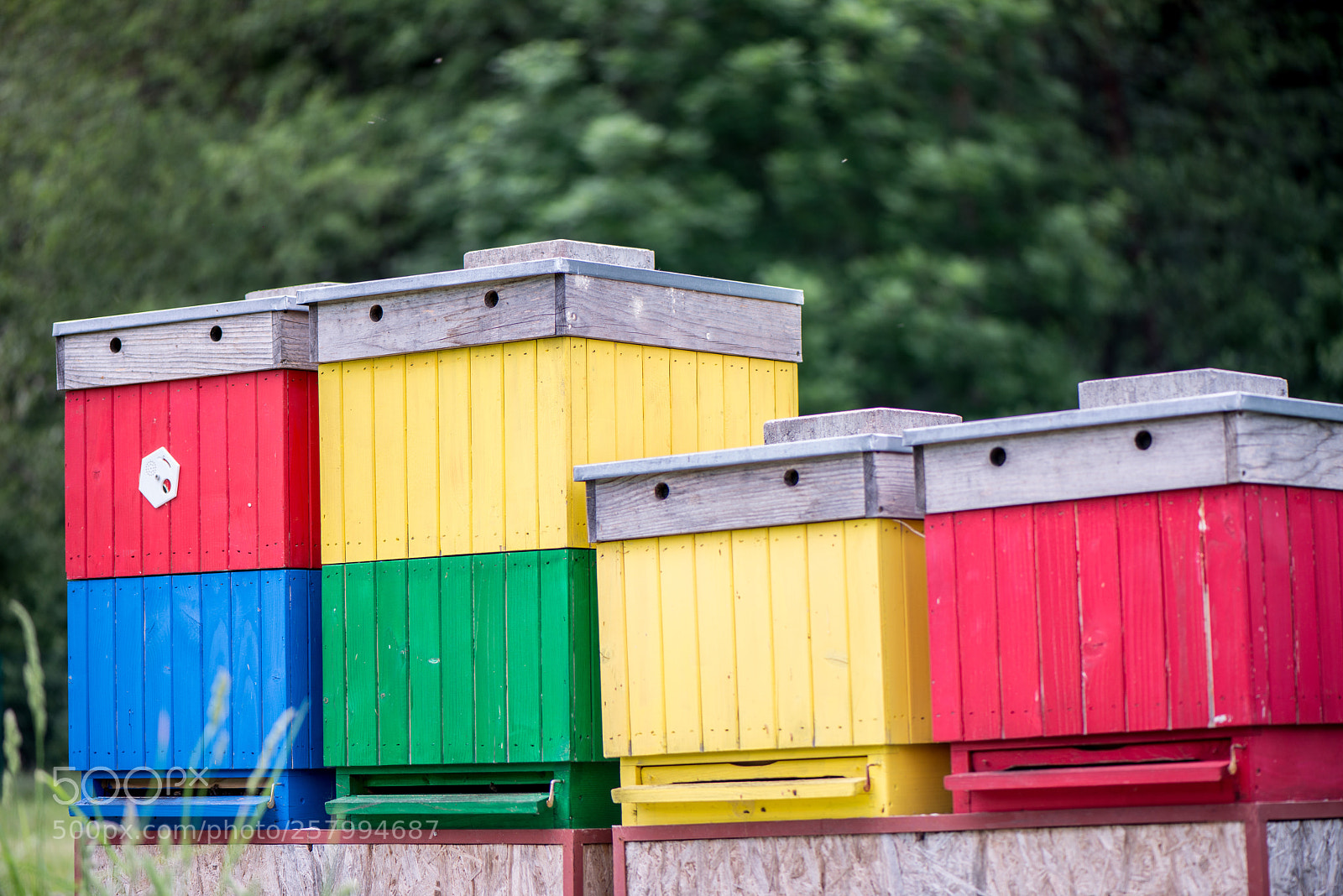 Nikon D800 sample photo. Colorful bee hives at photography